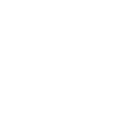 Mobile application white